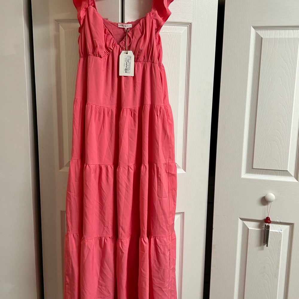 NWT Free The Roses Pink Maxi Dress
